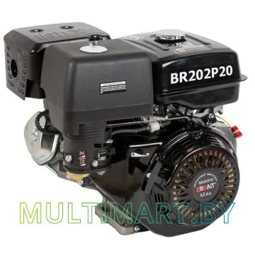 Бензиновый двигатель Brait BR202P20